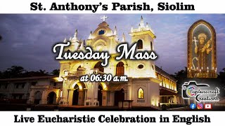 Tuesday English Mass Live at 630am 12th Dec 2023  St Anthonys Church Siolim [upl. by Ylicic759]