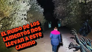 Lamentos aterradores nos guían a este camino 😨💀 [upl. by Nathanil]