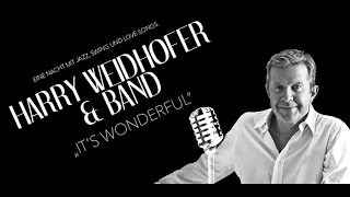 HARRY WEIDHOFER amp BAND  Its Wonderful  Teaser [upl. by Allicsirp]