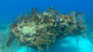 Diving Jibacoa Cuba Feb 2019 1440p 60fps [upl. by Luca994]