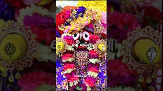 Mo Kalia daba lageiJayJagannath🙏jayjagannath🙏🙏odiasong🙏tagyourlove [upl. by Ricker330]