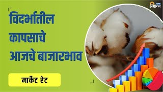 Vidarbha कापूस बाजार भाव आजचे  Cotton Rate Today  ॲग्रोवन [upl. by Prior]