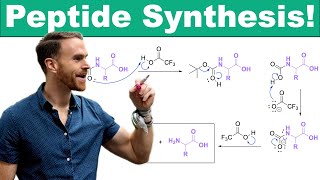 Mastering Peptide Synthesis Coupling Reagents Protecting Groups and SolidPhase Peptide Synthesis [upl. by Margret470]