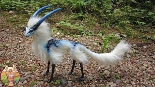 10 OISEAUX EXOTIQUES UNIQUES DANS LE MONDE  Lama Faché [upl. by Vaclava]