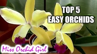 Top 5 orchids for beginners [upl. by Quickel]