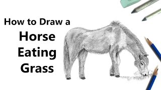 How to Draw a Horse Eating Grass with Pencils Time Lapse [upl. by Fairleigh]