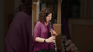 CLARINET LIFTOFF  Anat Cohen  quotTiger Ragquot jazz clarinet [upl. by Brynn]