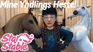 Mød mine YNDLINGS heste Dansk Star Stable [upl. by Synn368]