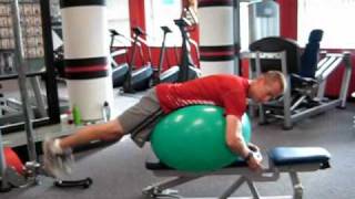 Stability Ball Reverse Hyper Extension [upl. by Waly]