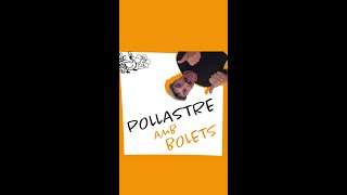 POLLASTRE amb BOLETS en 1 minut [upl. by Egiarc]