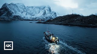 Lofoten Norway  Winter Relaxing Film 4K [upl. by Alat525]