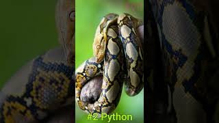 TOP 5 NON VENOMOUS SNAKES snake top5 nonvenomous [upl. by Gearard]