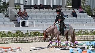 2024 Quarter Horse Congress Celeste North Friday  October 25 2024 [upl. by Araccot]