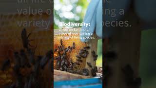 Biodiversity Matters  Chapter 1  Caring for our Planet [upl. by Nitsrik]