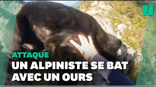 Au Japon un alpiniste attaqué par un ours les images sont impressionnantes [upl. by Aleyak591]