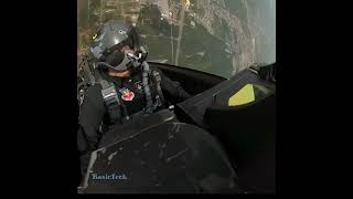 F22 Raptor Demo Team Cockpit [upl. by Lerrehs]