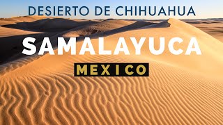 Donde se encuentran las Dunas de Samalayuca el maximo atractivo de CIUDAD JUAREZ CHIHUAHUA [upl. by Anirtak713]