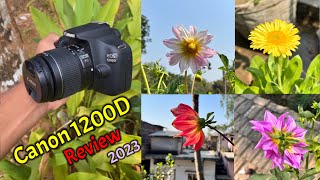 Canon 1200D Review 2023  Canon 1200D Review Hindi  Canon 1200D VideosPhotosZoom Test [upl. by Teodoro]