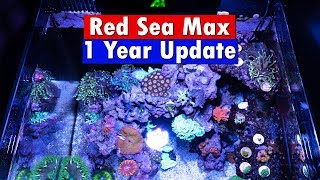 Red Sea Max Nano Reef  1 Year Update and tank tour [upl. by Jd]