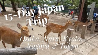 Day 2 of 15Day Japan Trip Osaka Nara Kyoto Nagoya amp Tokyo  Part 3 [upl. by Noyahs71]