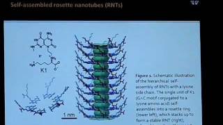 Rosette nanotubes for drug encapsulation and slow release  Video abstract 18755 [upl. by Kraul286]