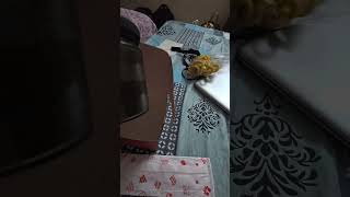 Chocolate Crunch by Bakingo bakingo chocolate cake sweet hostellife shorts video subscribers [upl. by Hsekin98]