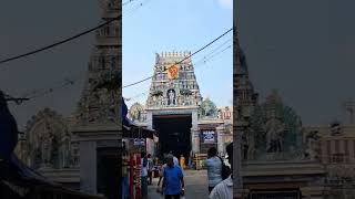 Swamimalai murugan Kovil music  song  temple  peacock [upl. by Nagy]