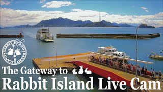 忠海港ライブカメラ【公式】by うさぎの島への玄関口／忠海港 The Gateway to Rabbit Island Official Port Live Cam 247 [upl. by Bail]