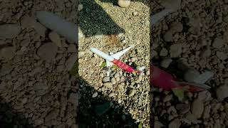 plane crash when 2 week and 2 days [upl. by Ahsiemat]