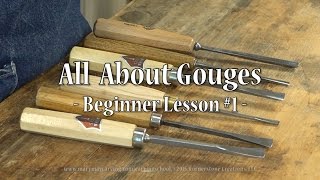 All About Gouges  Beginner Lesson 1 [upl. by Haff]