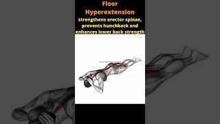 Floor Hyperextension Exercise [upl. by Ntisuj259]