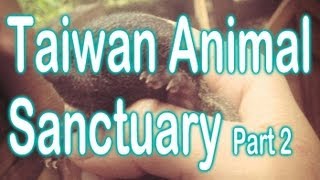 Taiwan Animal Sanctuary Part 2 [upl. by Lleihsad]