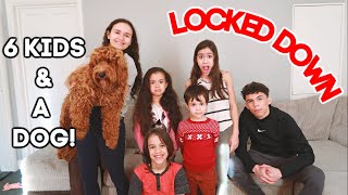 LOCKDOWN WITH 6 KIDS🤪 128 VLOG [upl. by Htebazileharas514]