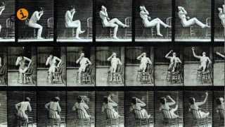 Eadweard Muybridge at Laurence Miller Gallery ADAA [upl. by Aihseya]