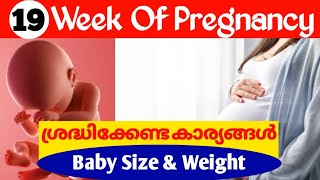 Pregnancy Week by Week Malayalam  19 Weeks Pregnancy Malayalam [upl. by Llewop1]