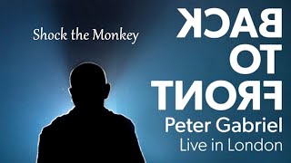 03 PETER GABRIEL  2013 10 2122  Shock the Monkey  LONDON  THE 02 ARENA ENGLAND Official DVD [upl. by Oinotla]