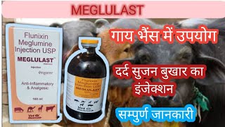 Meglulast Inj uses in veterinary  flunixin meglumine [upl. by Rayford]