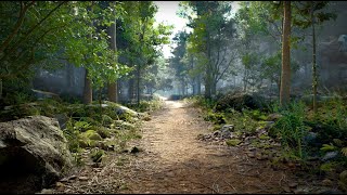 Unreal Engine 54 Forest Render  Cinematic Megascans Environment with Fog amp Animation [upl. by Erleena]