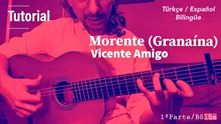 Flamenco Vicente Amigo Granaína MORENTE 13 por Taylan Polat Tutorial Türkçe  Español [upl. by Ettenrahs]