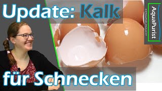 Kalk für die Schnecken  Teil 2  Sepia Schalen Update amp Eier Schalen Versuch [upl. by Koller]