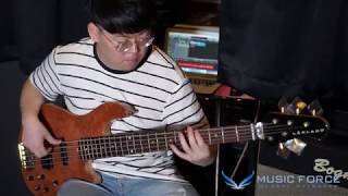 MusicForce Lakland US Custom 5594 Deluxe Demo By Bassist 윤희영 Heeyoung Yoon [upl. by Natek]