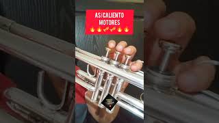 ✅ Calentamiento Trompeta ✅🎺 trompeta tecnicadetrompeta tutorial trompetista trompete shorts [upl. by Anyel803]