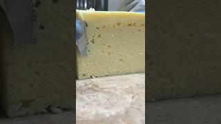 Turning a Parmesan Wheel into Delicious Pieces – Here’s How [upl. by Rivalee]