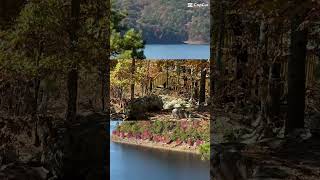 Lake Ouachita State Park Arkansas [upl. by Rudman]