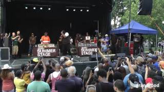 KRSOne Live  Coffey Park June 25 2017 [upl. by Aidul886]