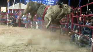 QUE ANIMALONES TRAE Rancho El Canelo En San Francisco Tecozautla Hidalgo 2022 [upl. by Aihsekram]