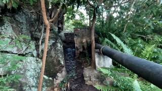 Rio Paraguaçu em Andaraí chapada de Diamantina Bahia [upl. by Assirec]