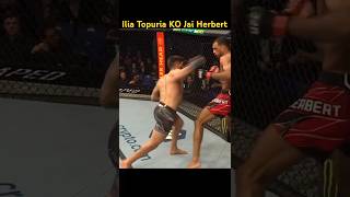 Ilia Topuria KO Jai Herbert ko ufc holloway iliatopuria ufc308 fighting wrestling [upl. by Emie514]