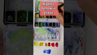 Plein Air Painters Guide to Setting Up a Mini Watercolor Palette watercolor colorpalette [upl. by Eveneg]