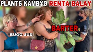 Chismosang Silingan Season 2 Episode 21  TANOM i BARTER sa RENTA SA BALAY [upl. by Janna]